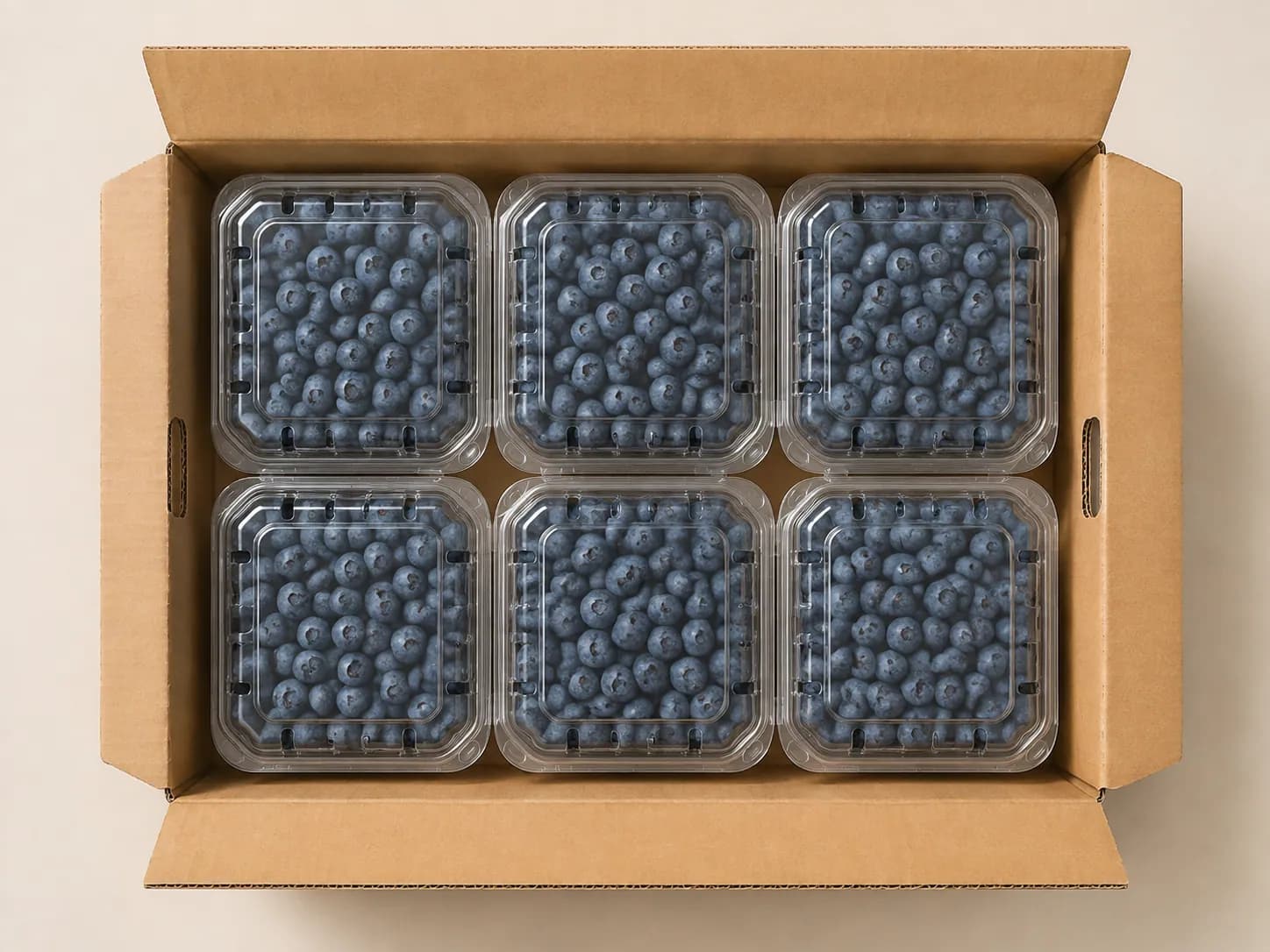AI packaging illustration: strict top-down view of an open kraft carton with six closed blueberry clamshells arranged in two rows of three, small visible side clearance