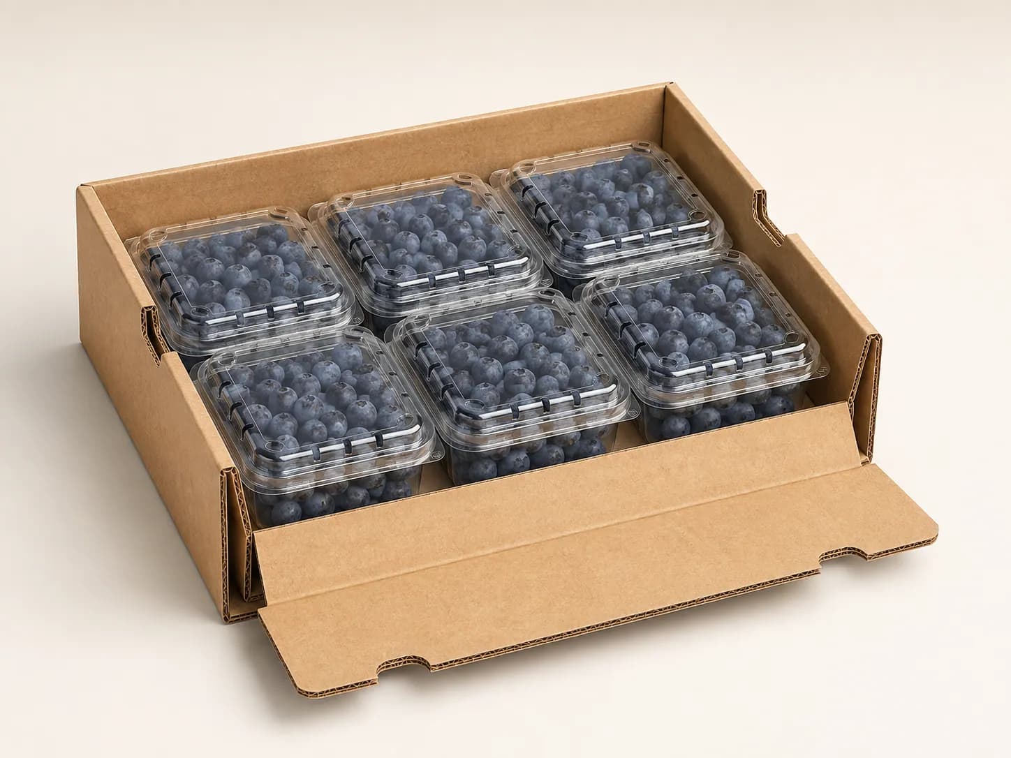 AI packaging illustration: low elevated cutaway-style product illustration of a kraft carton with closed blueberry clamshells inside, front carton flap folded downward so rim contact and top clearance can be inspected