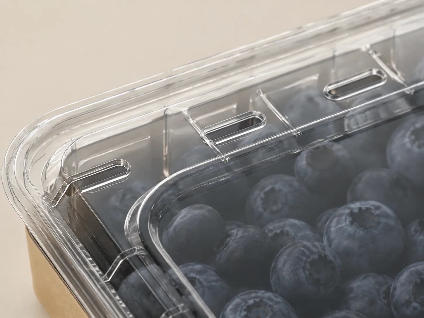 AI packaging illustration: macro top-side view of small ventilation openings in a clear fruit clamshell lid above blueberries, realistic thin clear plastic