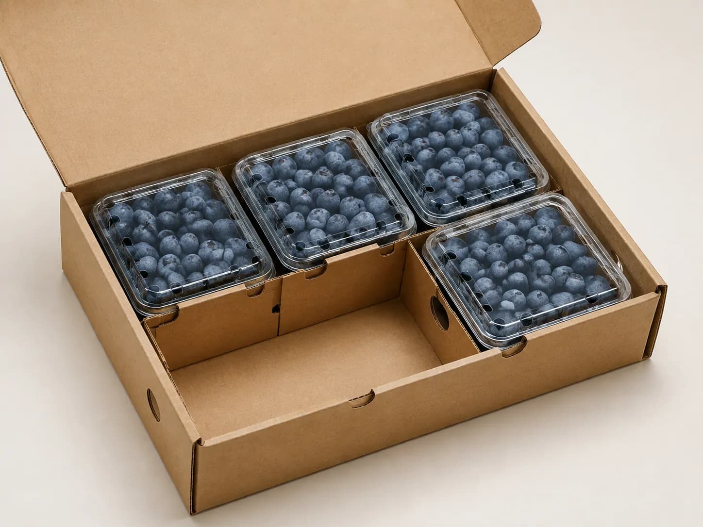 AI packaging illustration: top three-quarter view of four closed blueberry clamshells inside an open kraft carton, one empty pack position visible