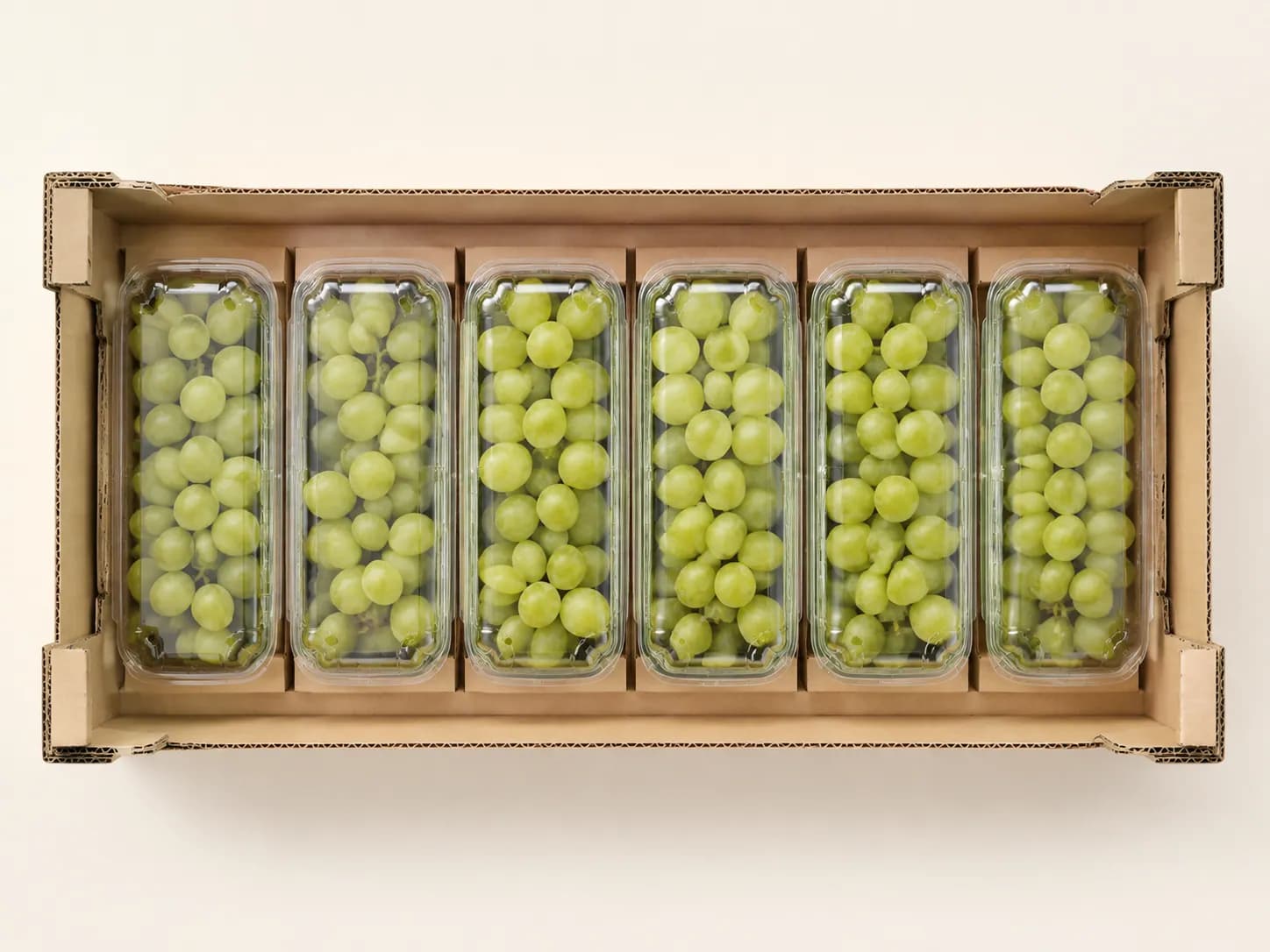 AI packaging illustration: strict top-down view of six rectangular clear grape packs oriented lengthwise in a plain open kraft carton, uniform simple rows, visible narrow gaps, geometric concept only