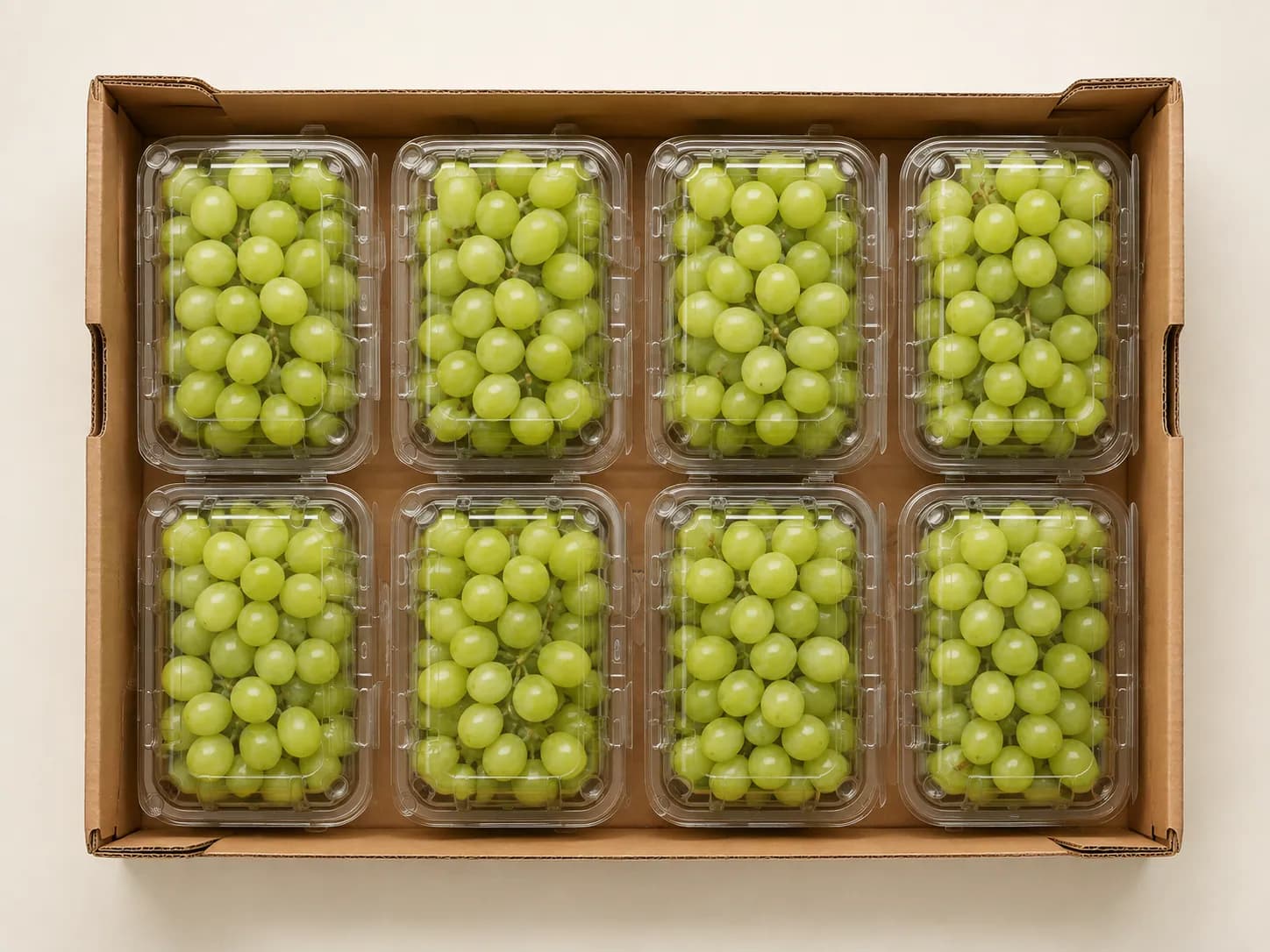 AI packaging illustration: strict top-down view of rectangular clear grape packs all rotated ninety degrees within a plain open kraft carton, uniform same-orientation grid, visible gaps