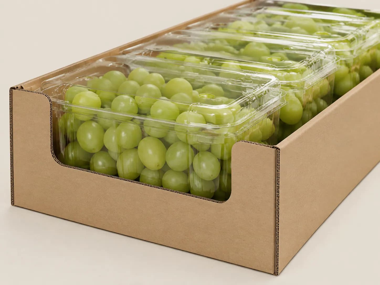 AI packaging illustration: close three-quarter view of a row of identical closed grape punnets oriented lengthwise in an open carton, illustrate the pack-to-carton side contact and gap only