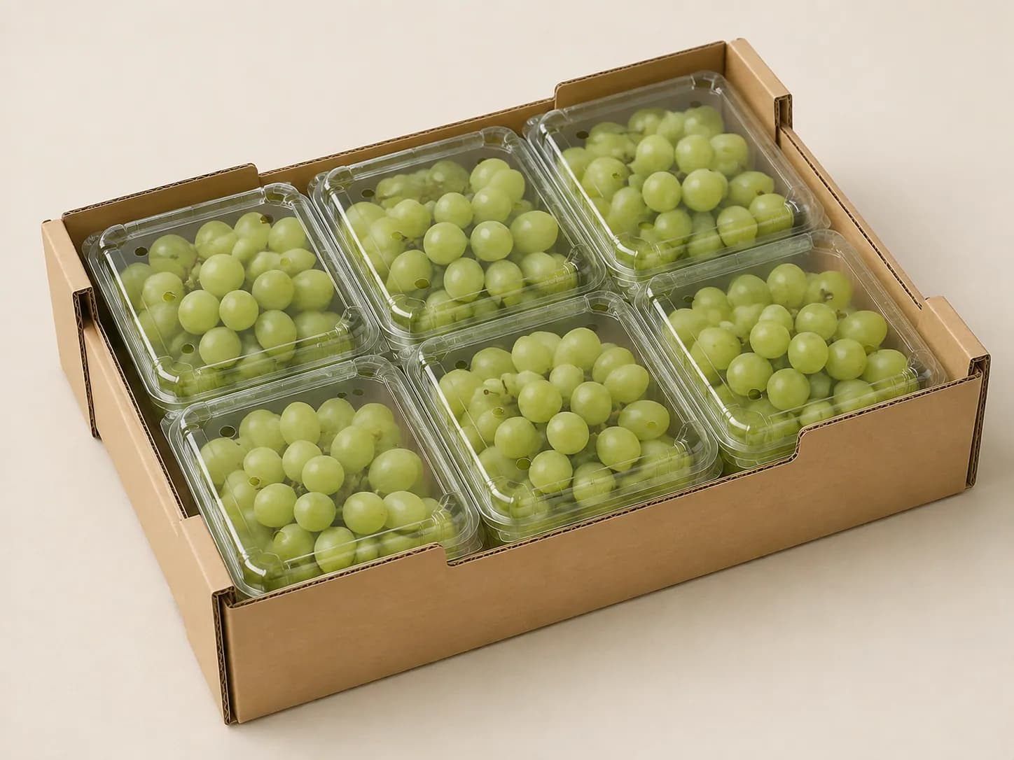 AI packaging illustration: close three-quarter view of identical closed grape punnets oriented crosswise in an open carton, illustrate the different rim alignment and side gaps only