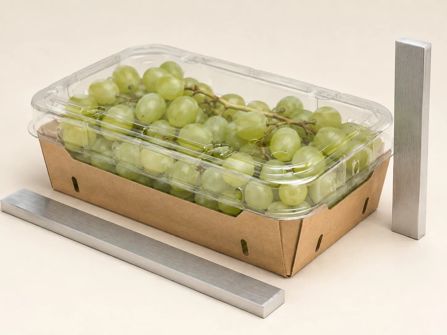 AI packaging illustration: close three-quarter technical still life of one closed filled grape punnet beside two plain metal straightedges, one beside its longest edge and one upright next to the rim