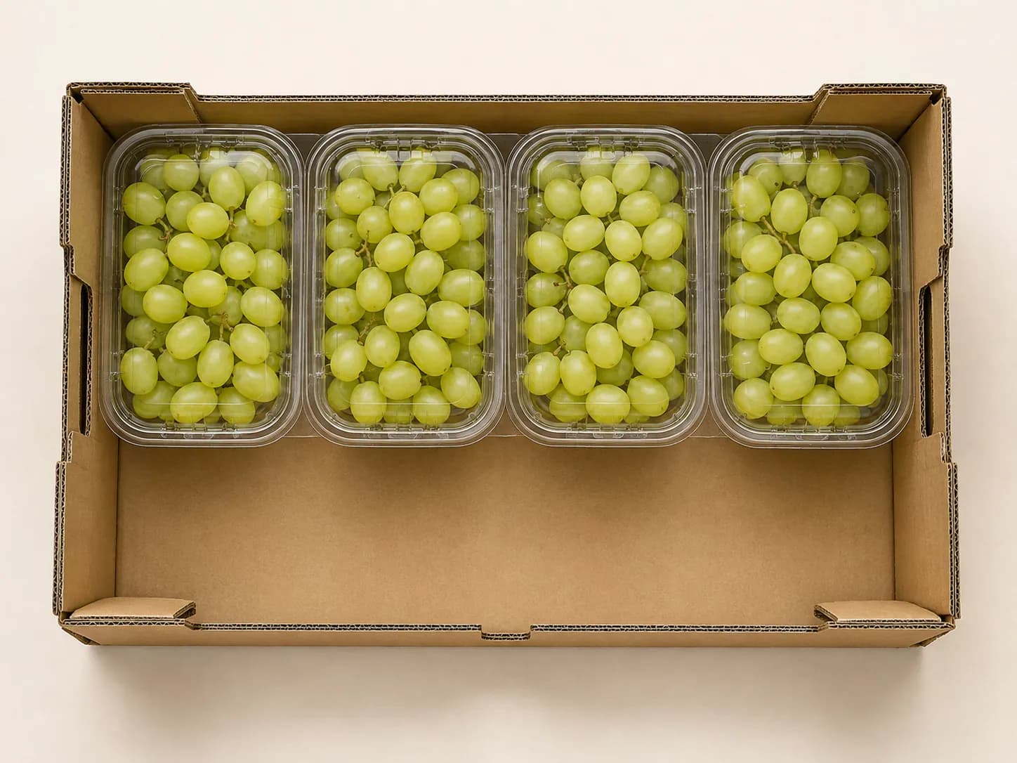 AI packaging illustration: strict top-down view of the first neat row of closed grape punnets in an open plain kraft carton with the remaining empty carton floor visible, actual carton side walls visible