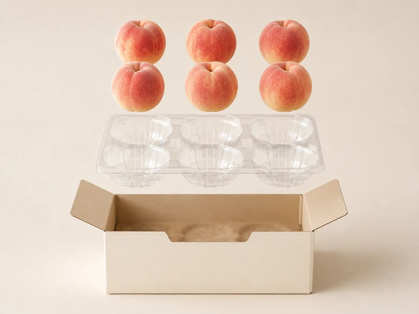 AI packaging illustration: a compact vertical exploded product illustration of six peaches, the matching clear six-pocket tray, and an open cream gift carton directly below, align each peach above a tray cavity