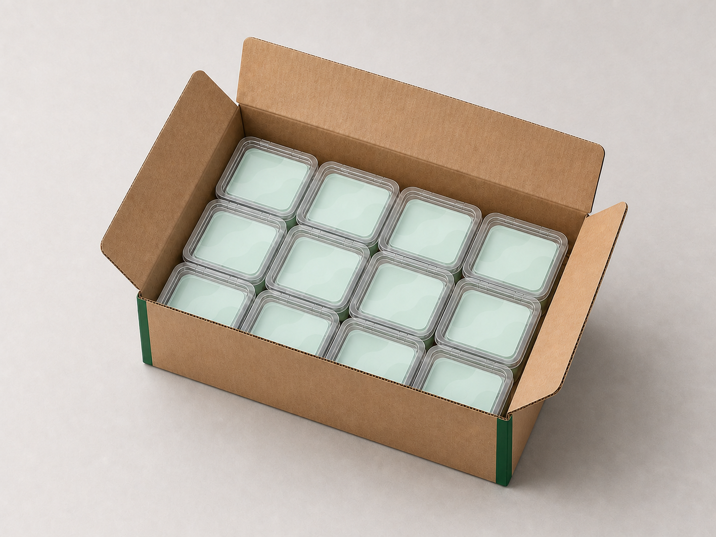 AI-generated illustrative view of the same generic sample packs arranged as one complete three-by-four layer in the same open carton
