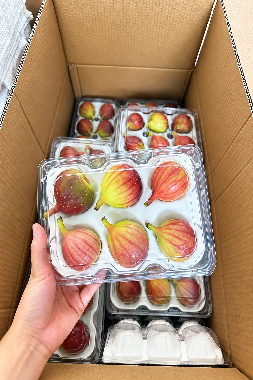 Figs arranged in inner trays inside a carton