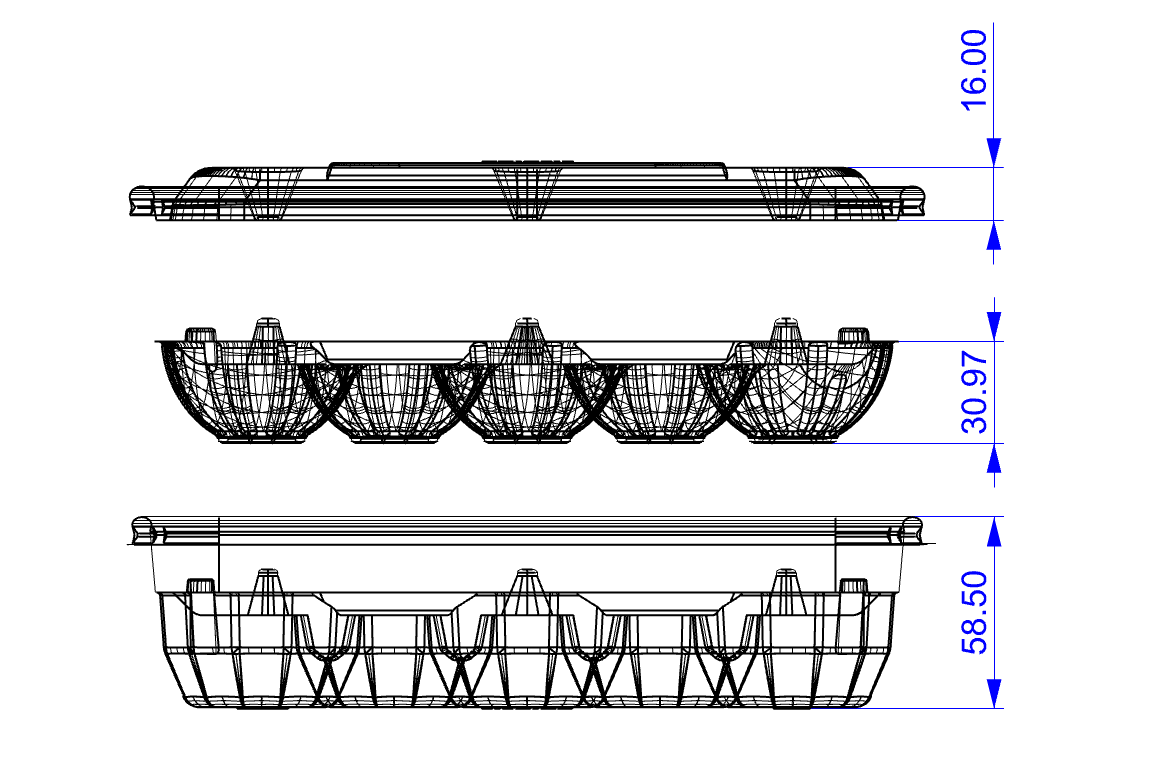 Side-view source drawing for the strawberry packaging structure