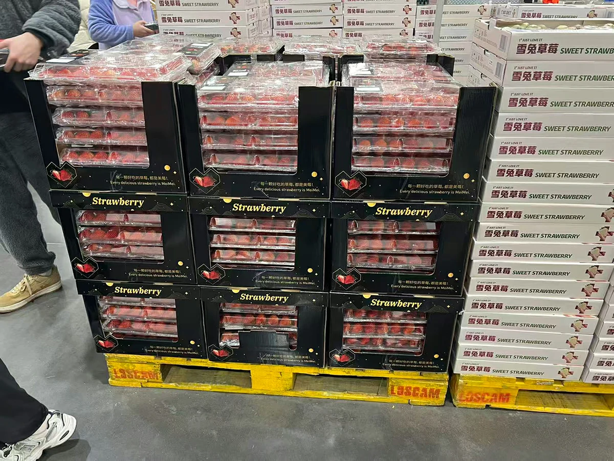 Finished strawberry packs grouped in black outer cartons