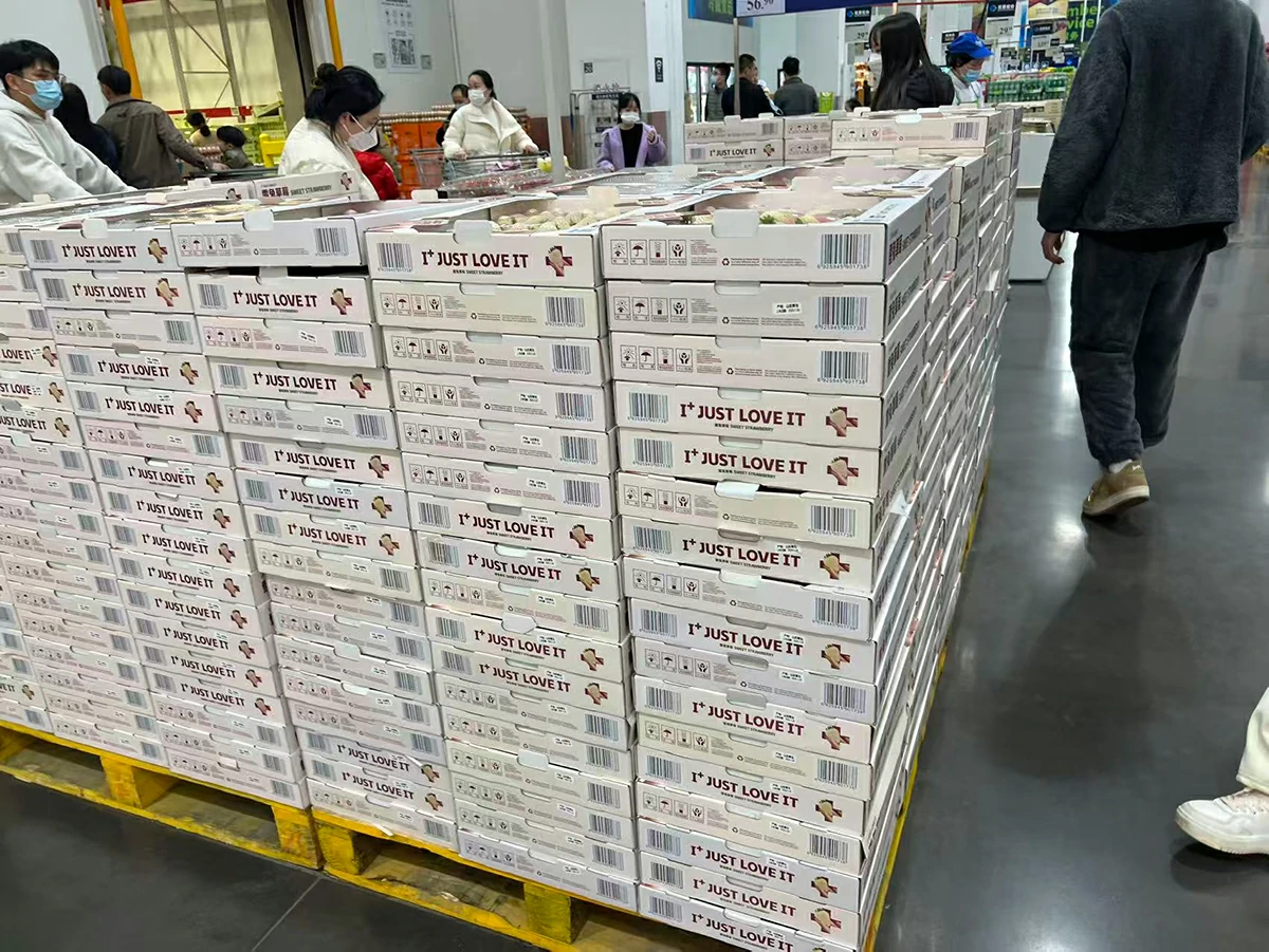 Finished strawberry packs grouped in white cartons in a store