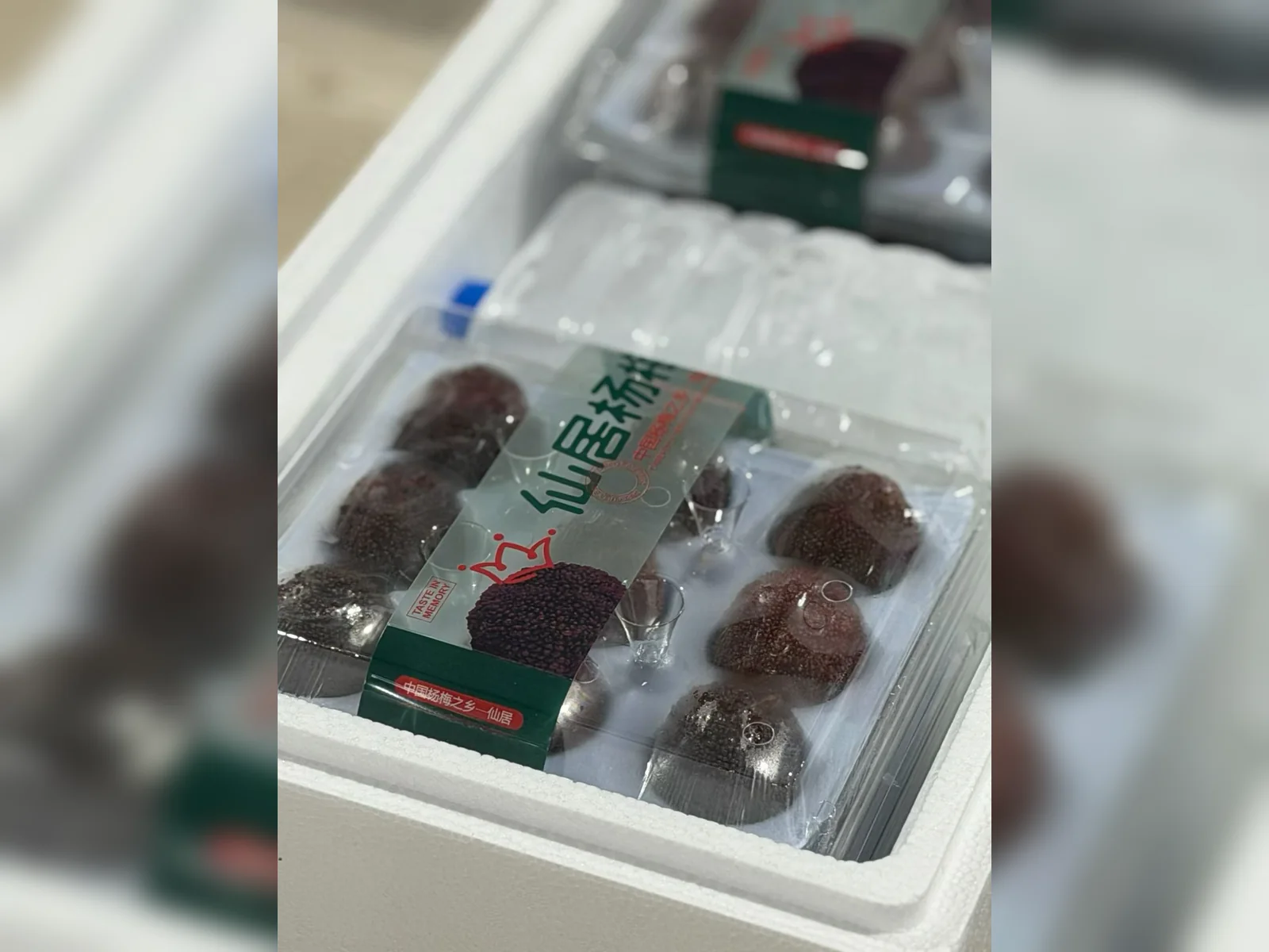 Premium fruit packaging system — view 2