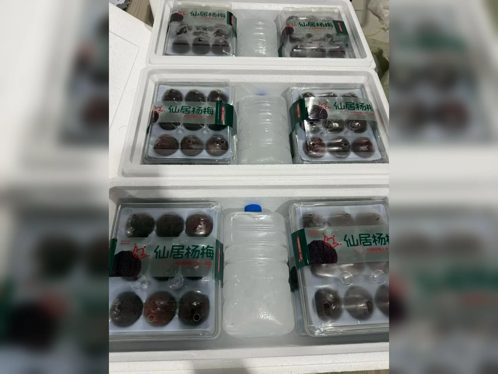 Premium fruit packaging system — view 3