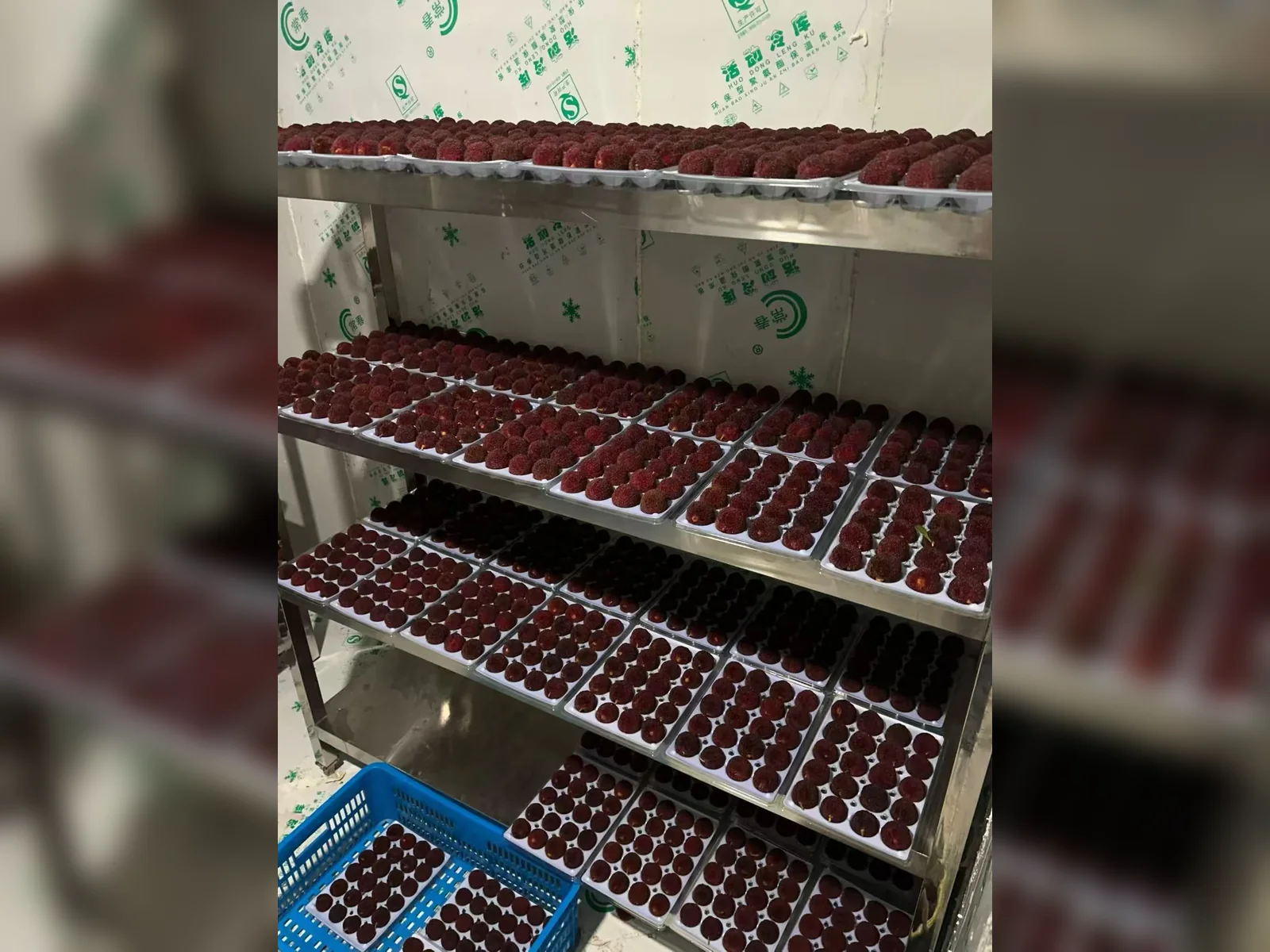 Premium fruit packaging system — view 4
