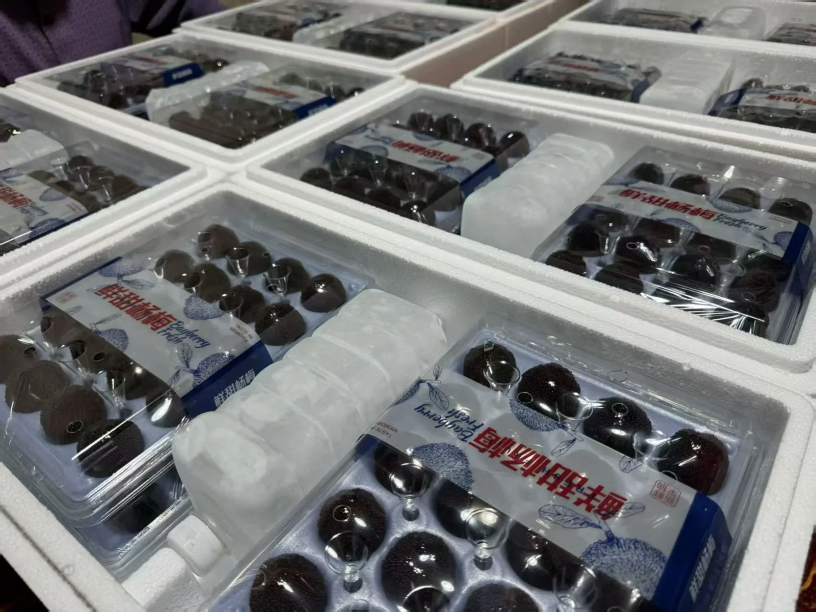 Premium fruit packaging system — view 5