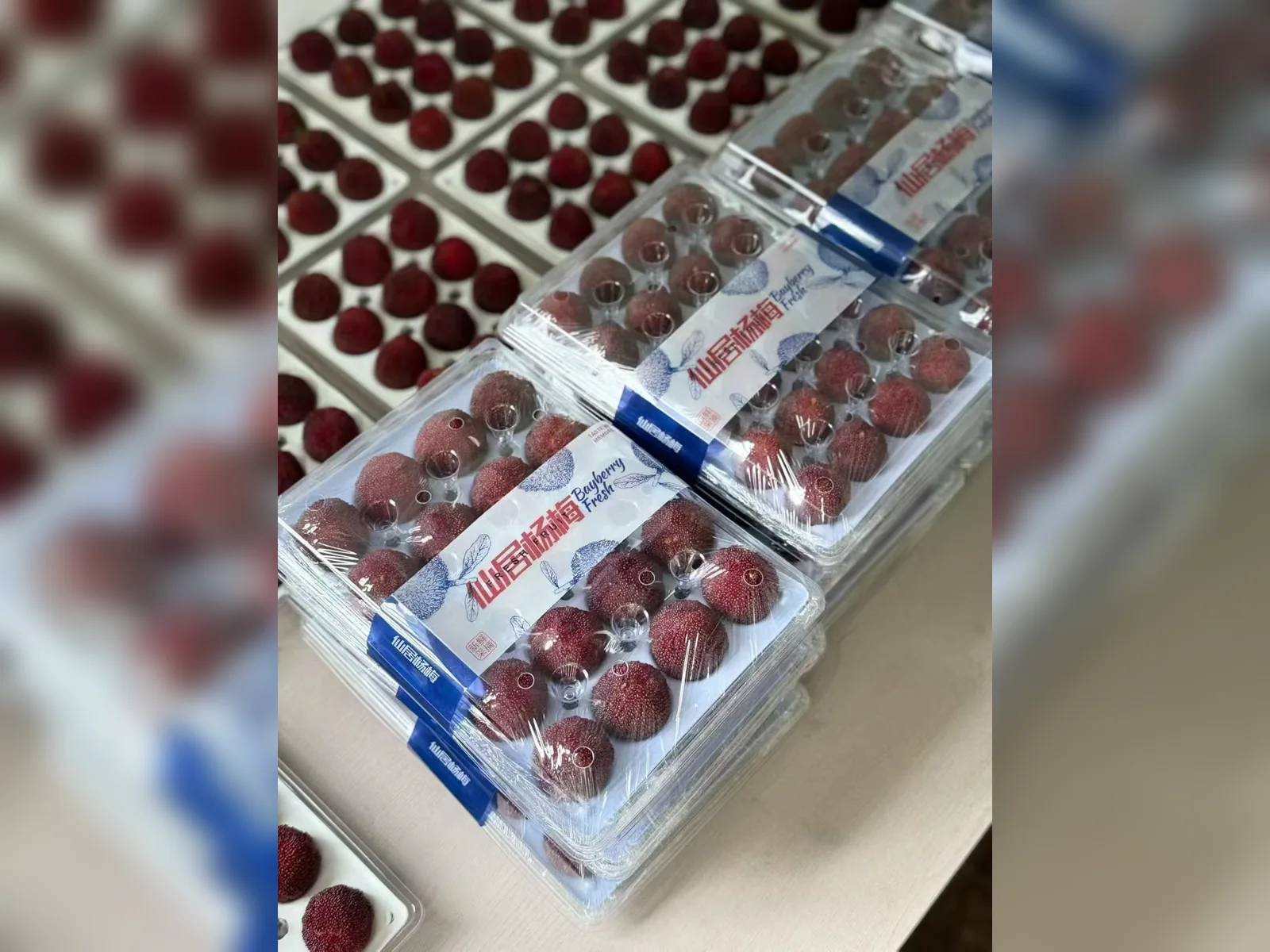 Premium fruit packaging system — view 8