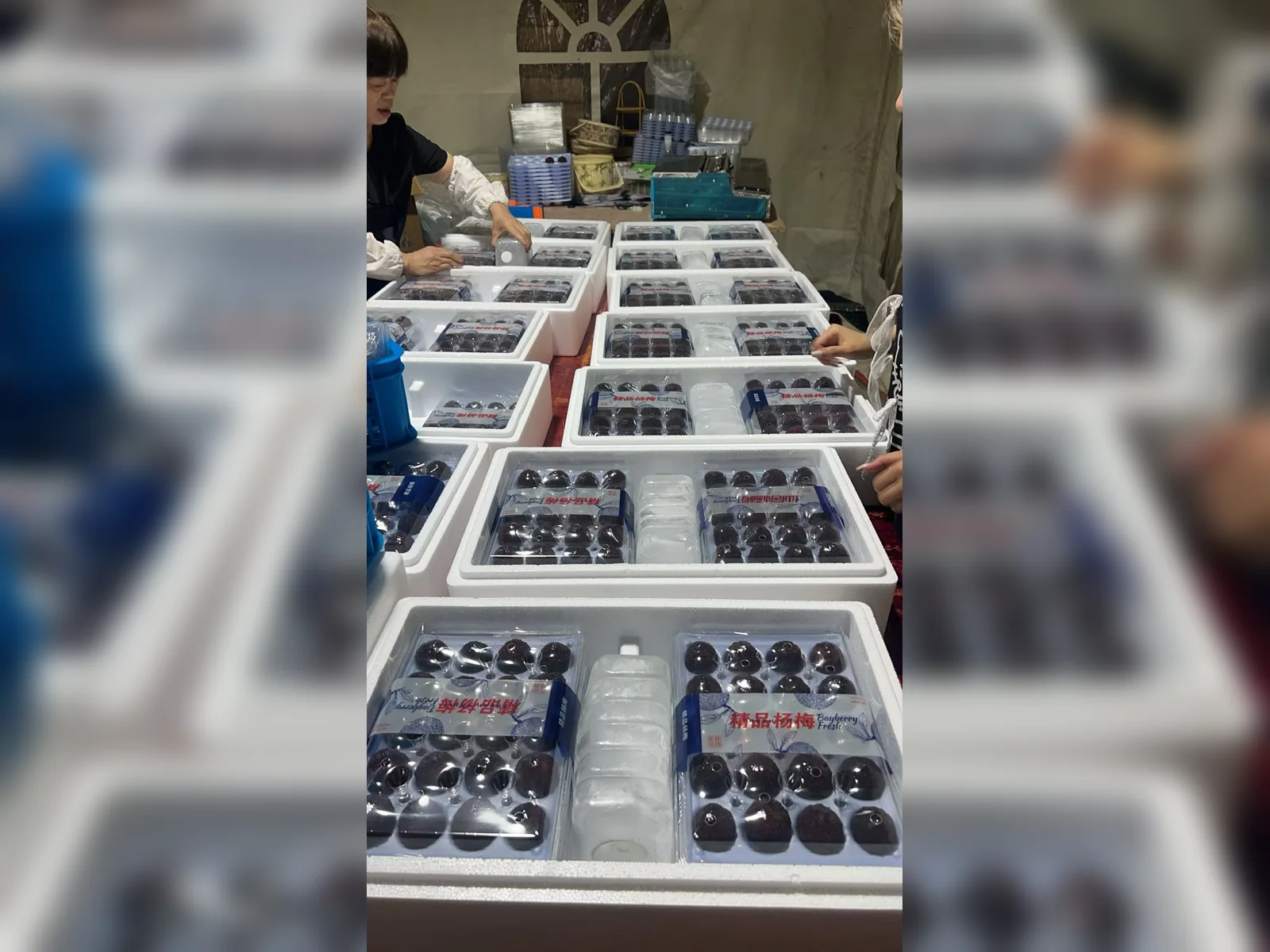 Premium fruit packaging system — view 9