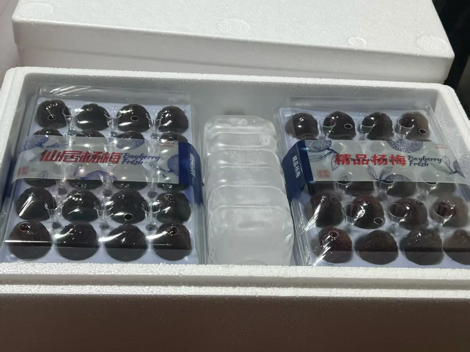 Premium fruit packaging system — view 10