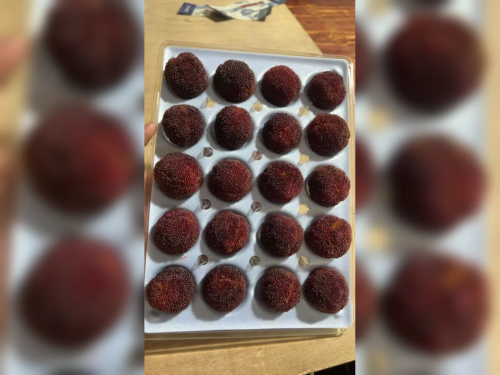 Premium fruit packaging system — view 14