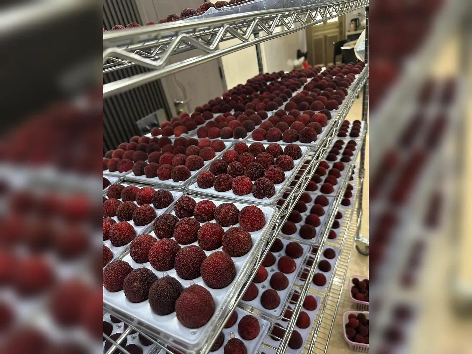 Premium fruit packaging system — view 16
