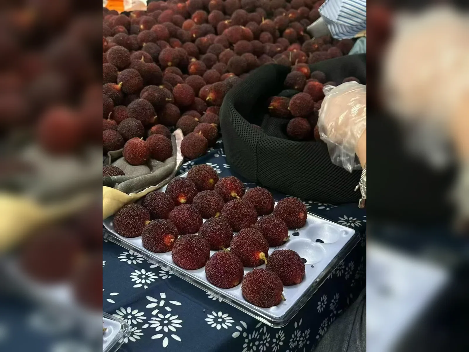 Premium fruit packaging system — view 18
