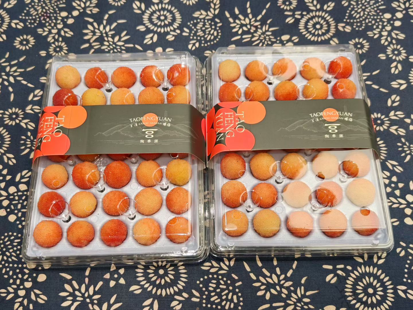 Sample versions — view 3