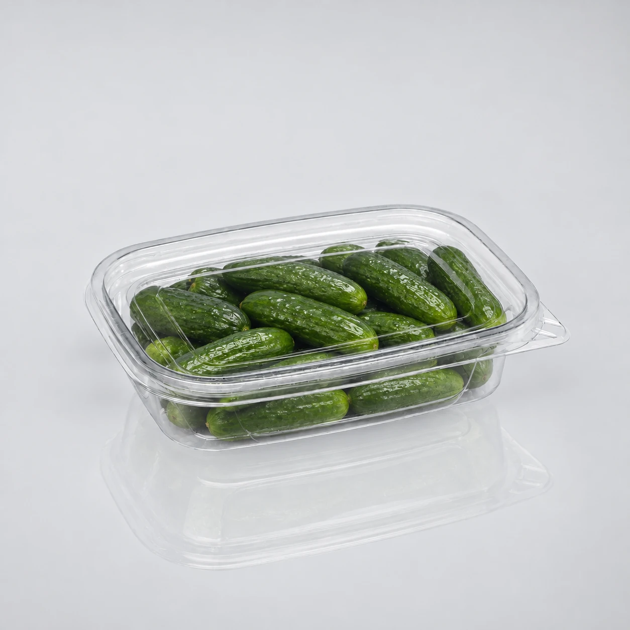 06 packaging reference