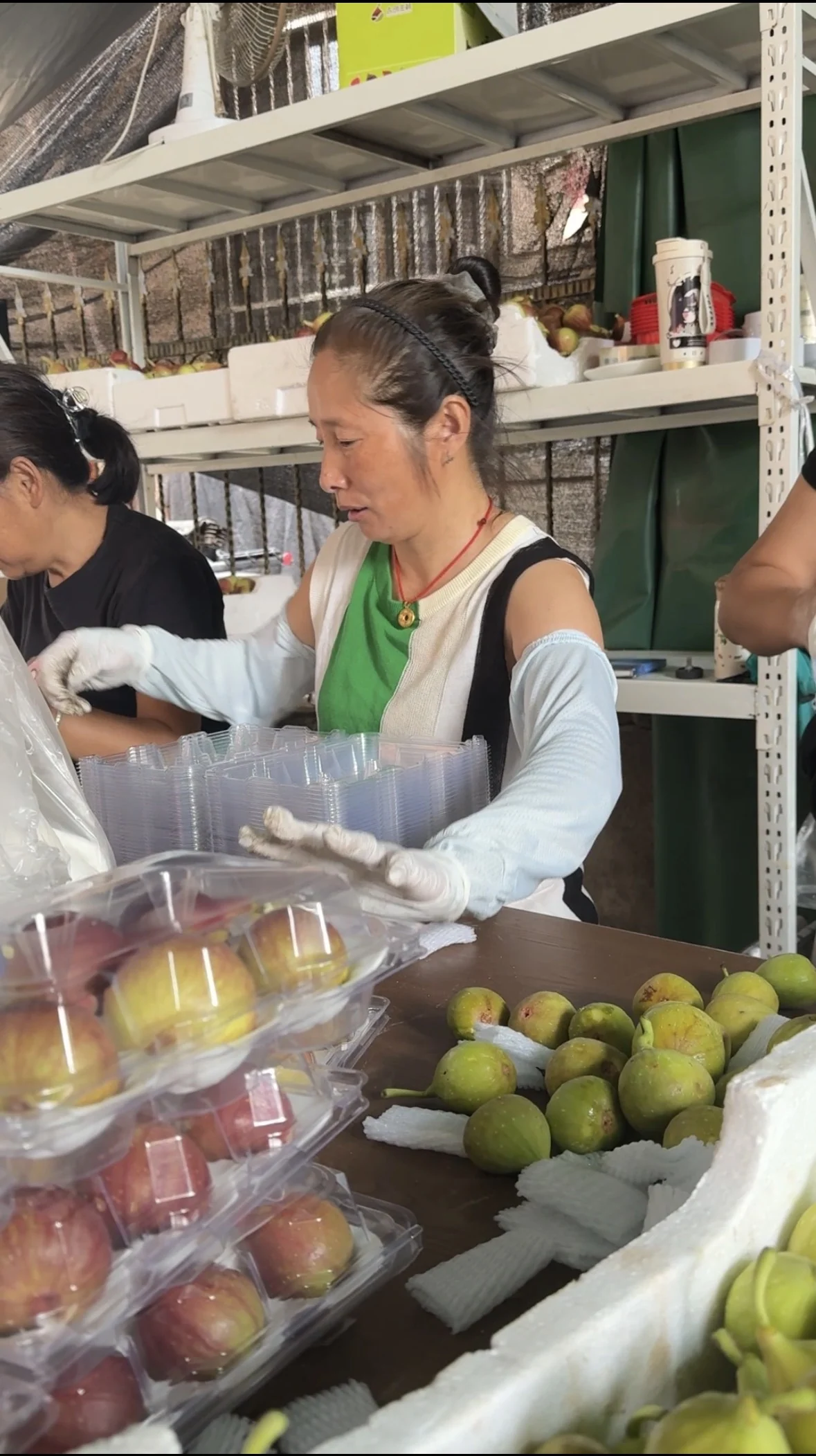 A fig packing operation in August 2026 shows why package trials must include normal size variation, handling steps, and production-speed closure.
