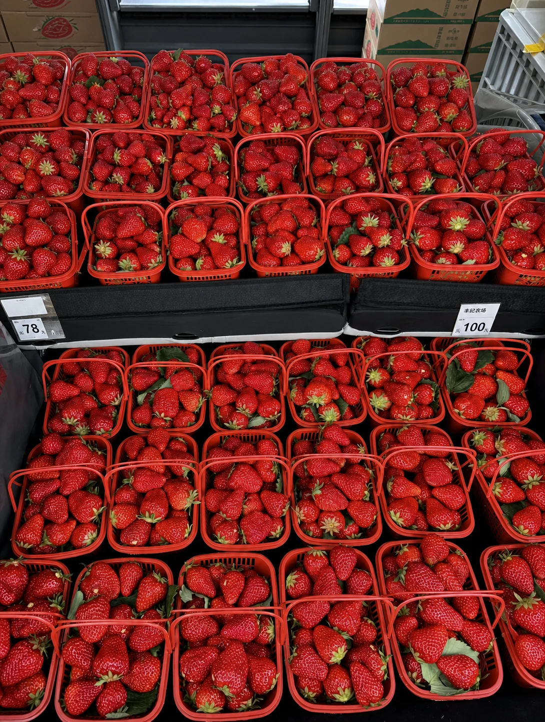 Open punnets make the fruit easy to inspect, but the shipping carton and handling system must prevent spillage, crushing, and unstable stacking.