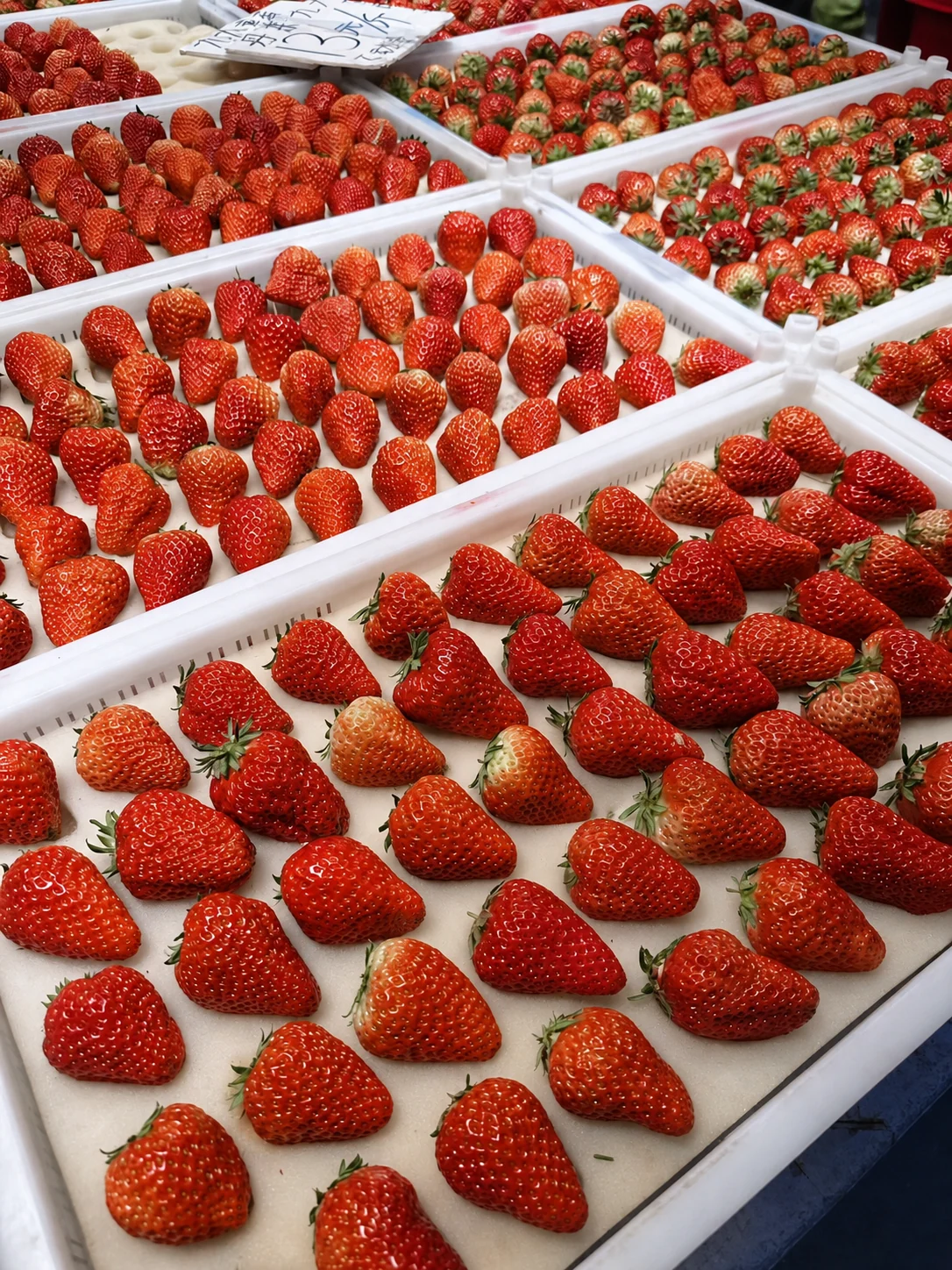 Real crops contain several sizes and maturity stages. A pack specification should define the usable range instead of relying on one ideal berry sample.