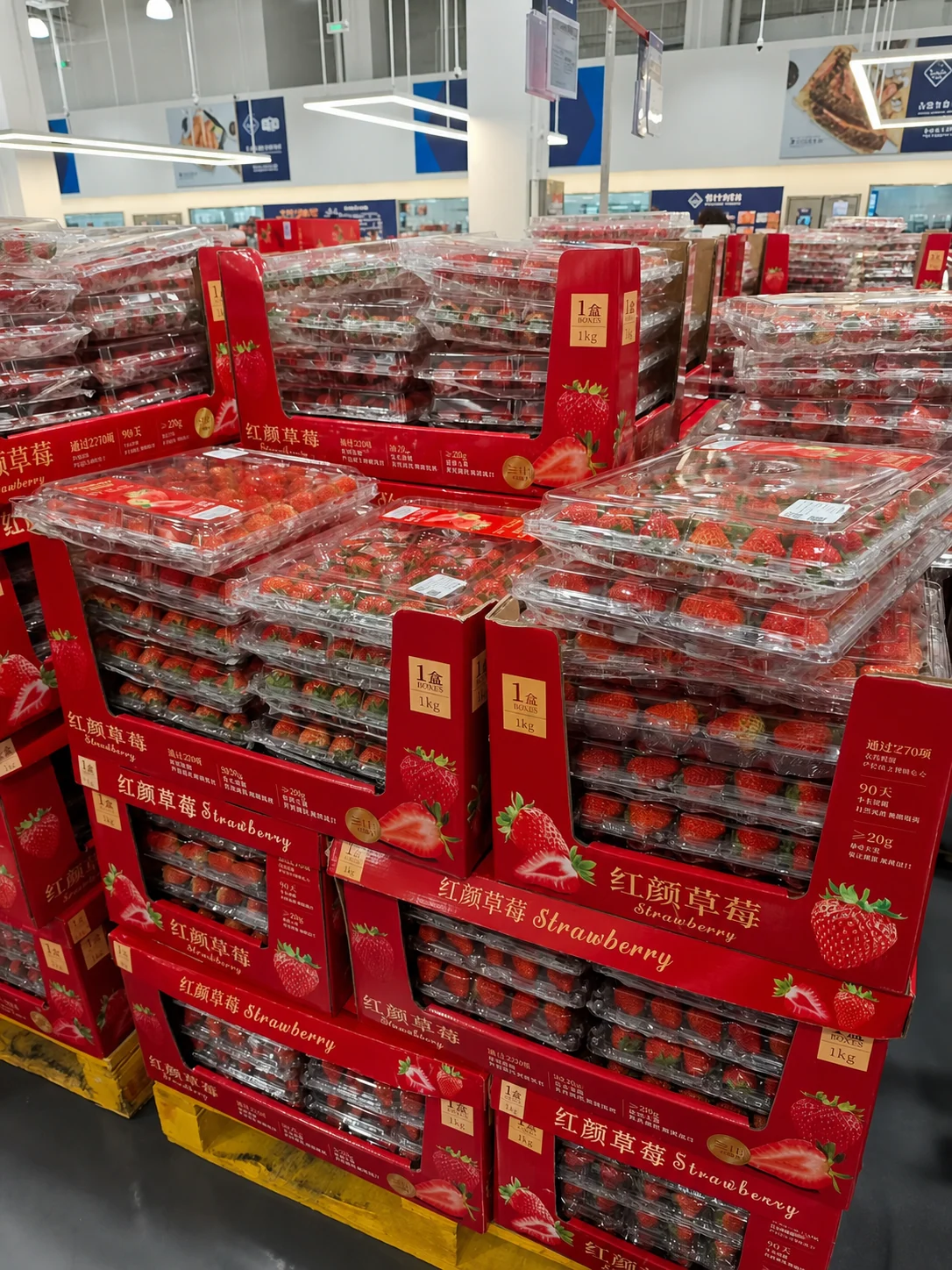 Large retail packs work as part of a larger unit. The pack, display carton, pallet pattern, cooling path, and stack height must be checked together.