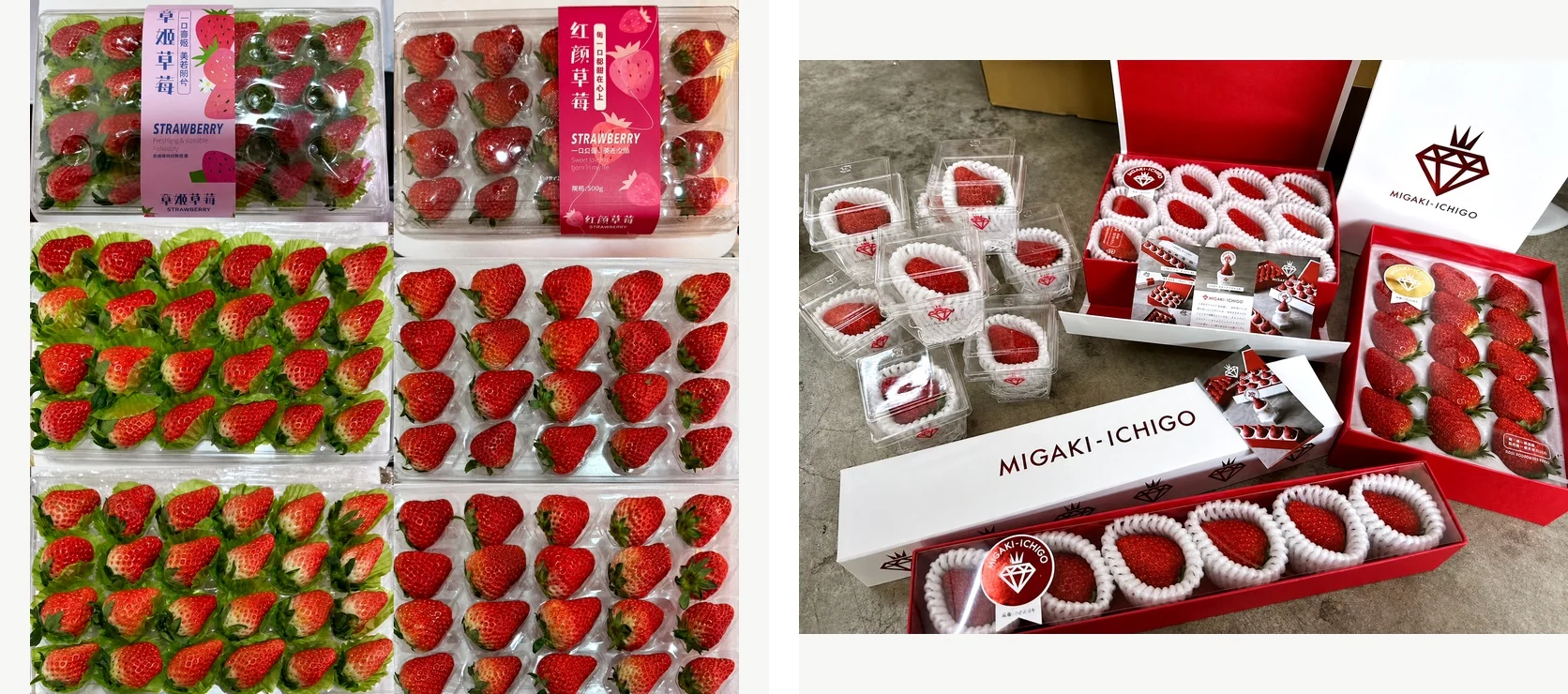 Different grades and channels require different sale units and fruit boxes.