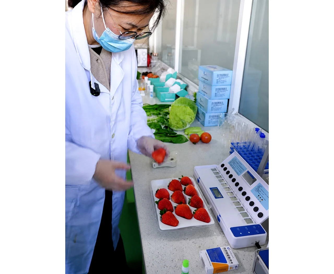 Laboratory checks support claims when the sample, method, time, and conditions are recorded.