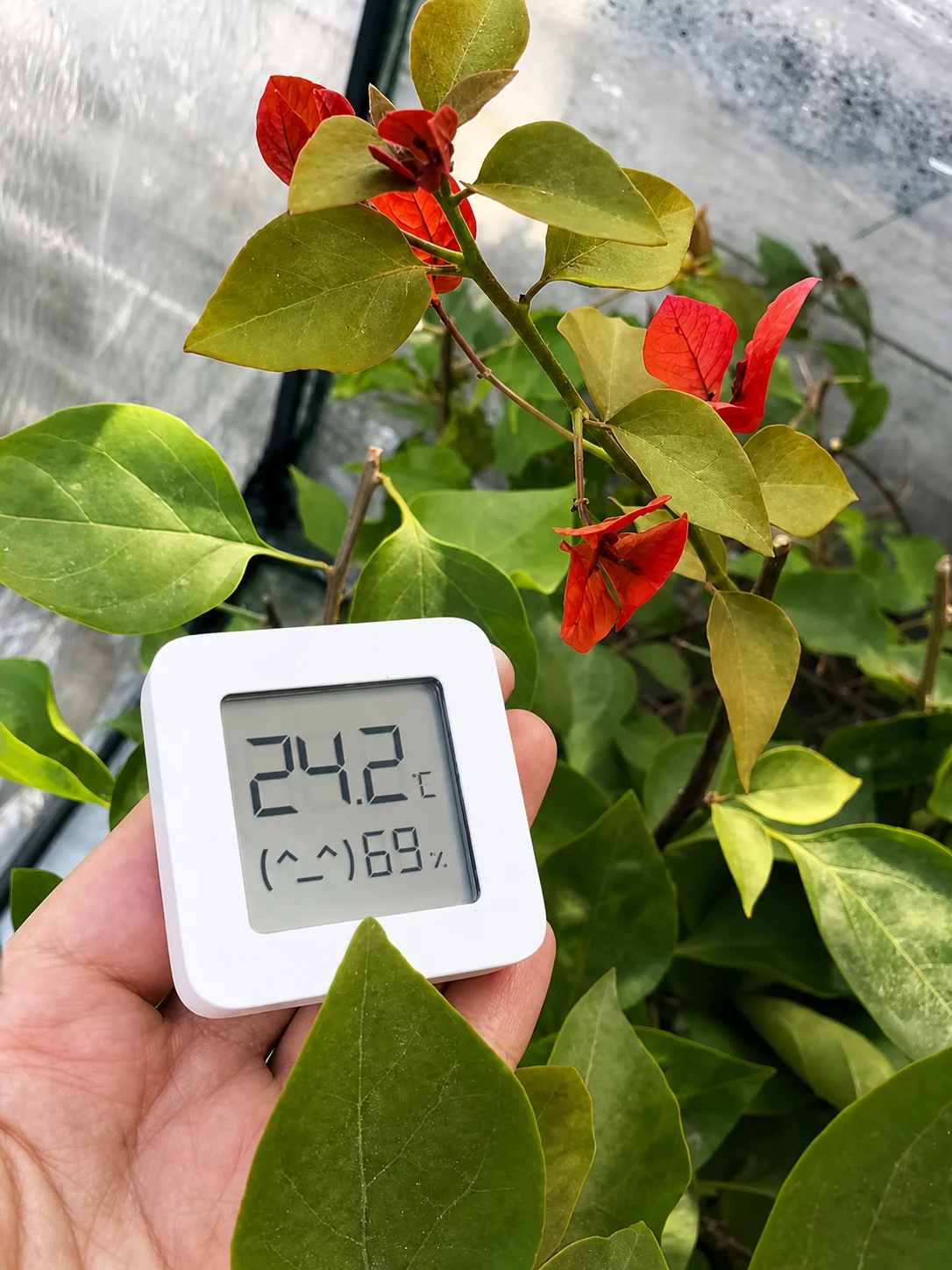 Record temperature and humidity together.