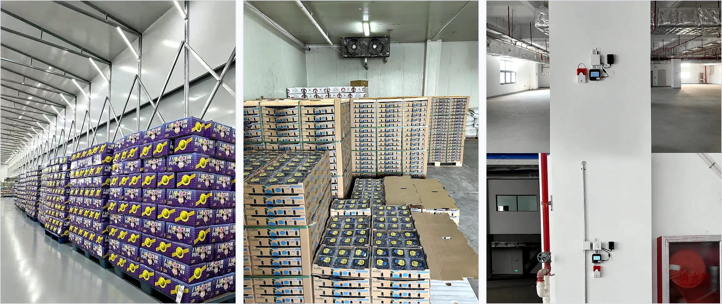 Validate pallet layout, carton openings, and monitoring together.