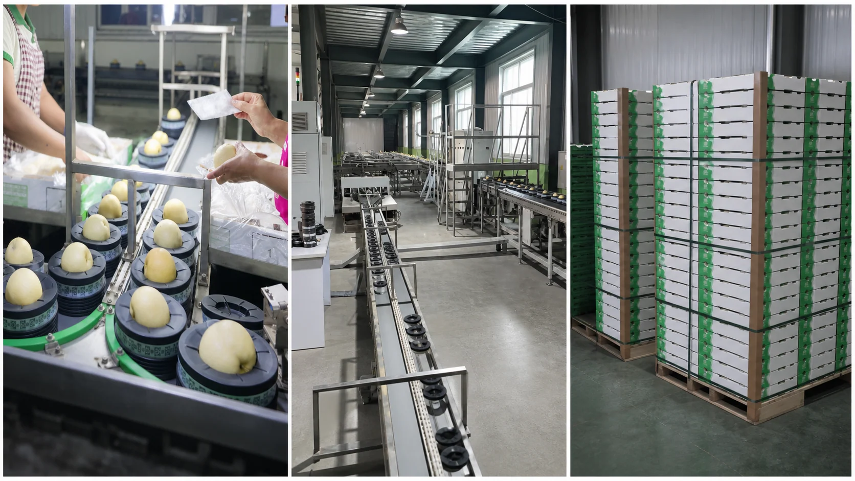 Packing, line flow, and palletized cartons should be evaluated as one operating system.